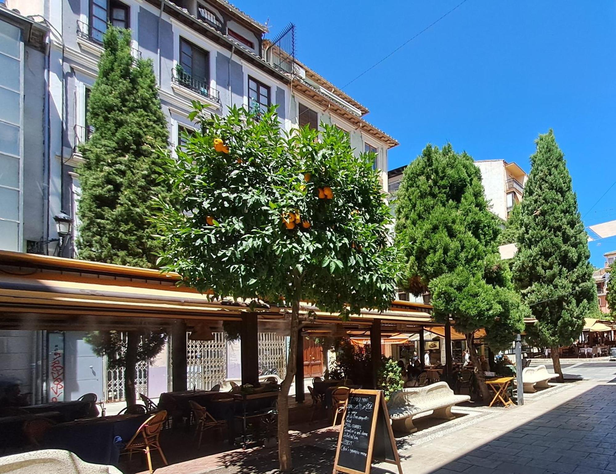 ApartaSuite Deluxe Centro Histórico Ático tranquilo con terrazas a pie de calle Granada Esterno foto
